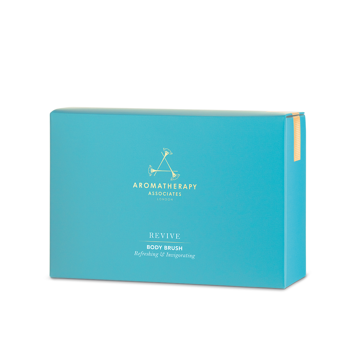 Revive Body Brush