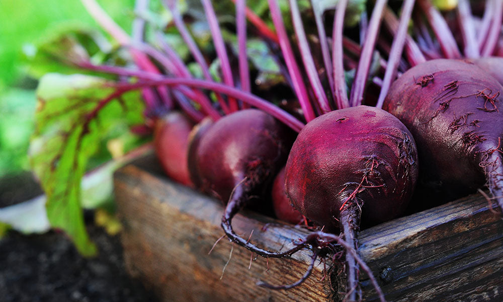 Beetroot Benefits