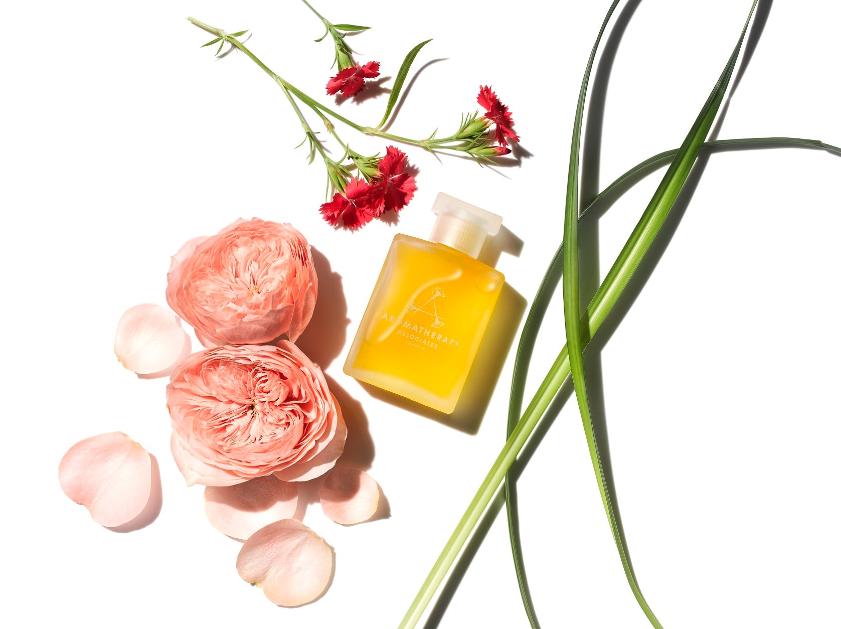 Rose Bath & Shower Oil 55ml
